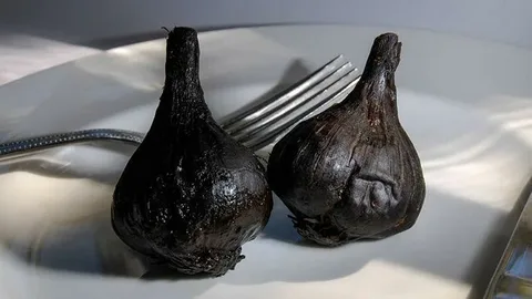 تصویر 1 از سیر سیاه قوطی با بسته بندی شکیل و مقاوم برای حمل و نگهداری آسان